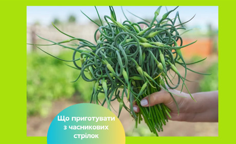 Часникові стрілки — найкращі рецепти на зиму, заморожені, у сметані та ароматне песто