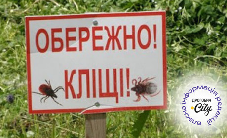 Лише за липень чотири випадки бореліозу в Дрогобицькій громаді: як захиститися від укусу кліщів