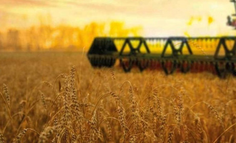 Полтавщина намолотила перший мільйон тонн зерна