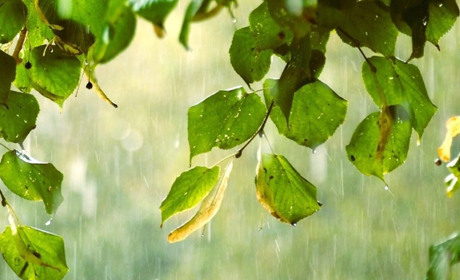 Погода у Старокостянтинові на 29 липня - 3 серпня: до чого готуватися