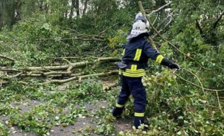 На Київщині ліквідовують наслідки негоди: без світла залишаються десятки тисяч осель