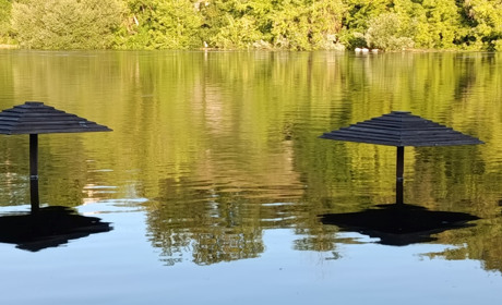 Рівень води в річці Случ у Звягелі зріс удвічі: дощі б’ють рекорди 1949 року