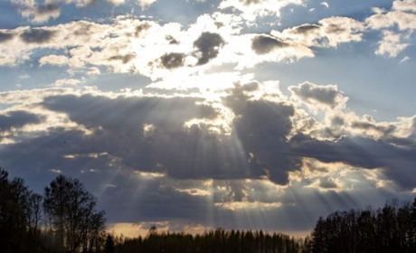 У середу дощ. Погода для Гадяччини на тиждень