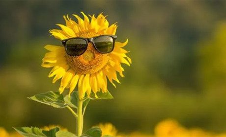 ЩО СИНОПТИКИ НАМ ПРОГНОЗУЮТЬ....