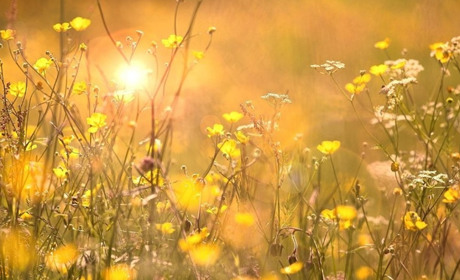 Погода в Старокостянтинові на 18-24 серпня: тиждень контрастів від спеки до дощів