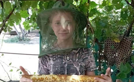 ВПО з Васильківки святкували День пасічника: діти малювали бджіл та змагалися у вікторині