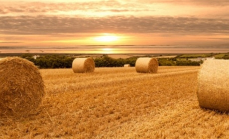 Яку погоду прогнозують на 21-25 серпня ...