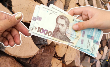 Назвали, скільки жителів Глухівської громади подали заявки на допомогу для купівлі дров