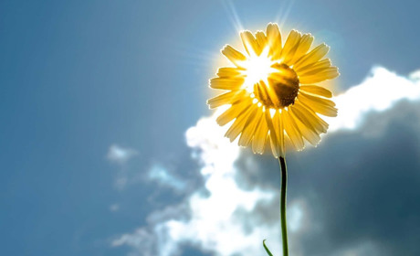 Останній тиждень літа на Гадяччині почнеться осінньою свіжістю, а закінчиться спекою