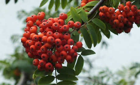 Важливі свята та пам'ятні дати у вересні 2025 року