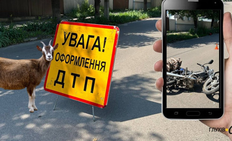 У Глухові судили водіїв за ДТП на Путивльській: один в'їхав у припарковане авто, інший — збив козу