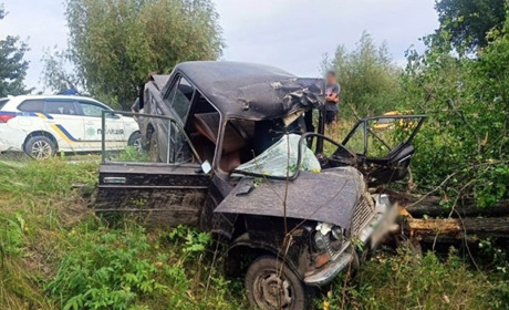 Поліцейські встановлюють обставини ДТП на Звягельщині