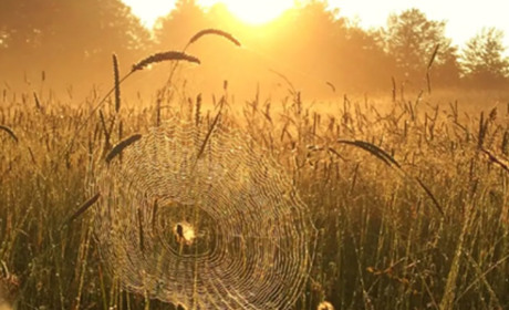 Прогноз погоди на 30 серпня - 3 вересня