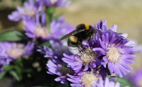 Погода у Старокостянтинові на 2-7 вересня: яким буде початок осені