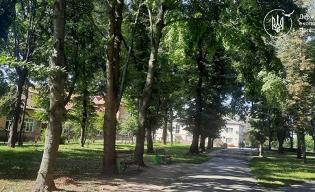 У Звягелі комісія відмовила у вирубці дерев у міському парку культури і відпочинку