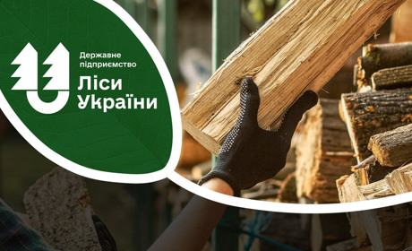 Що буде з ціною на дрова: пояснюють у ДП "Ліси України"