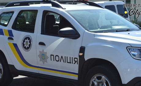 Безпритульні собаки пошкодили авто чоловіка у Переяславі: хроніка поліції