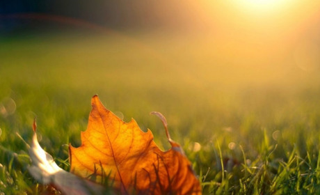 Мінімум опадів і нічна прохолода: прогноз погоди у Гадячі на тиждень