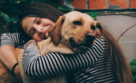 14 вересня: День “Обійміть свого собаку”, Всесвітній день журавля та інші свята, події