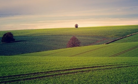 Податкова інформує: які пільги щодо сплати земельного податку встановлені для фізичних осіб