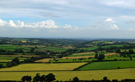 Податкова інформує: до уваги фізичних осіб – платників земельного податку!
