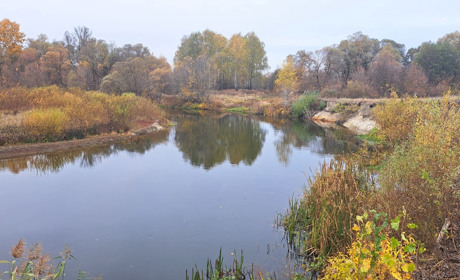 Стан водних ресурсів у Полтавській області: Псьол і Ворскла на межі маловоддя