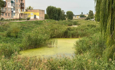 Два мільйони гривень з бюджету Переяславської громади піде на очистку Альти від мулу: рішення сесії