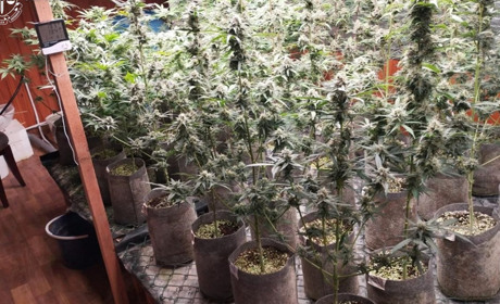 Справа про наркотики: затримано жителя Хмельницького району