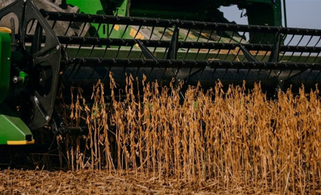 Аграрії Полтавщини зібрали понад 900 тисяч тонн врожаю