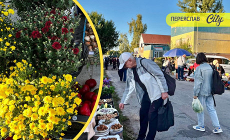 На базарі в Переяславі розквітла осінь: кущові хризантеми продавали по 100-200 гривень