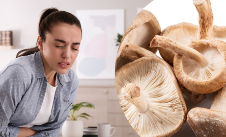 У Миргородській громаді зафіксували випадок отруєння грибами