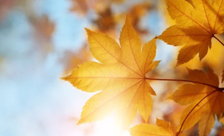 Прогноз погоди на останні вихідні вересня