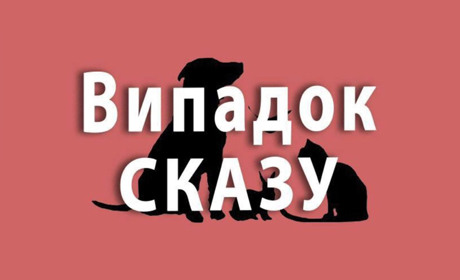 У селі на Переяславщині зафіксували випадок сказу у собаки: введено карантинні обмеження