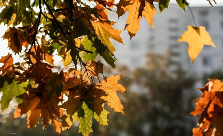 Дощі та похолодання: якою буде погода у Гадячі протягом тижня