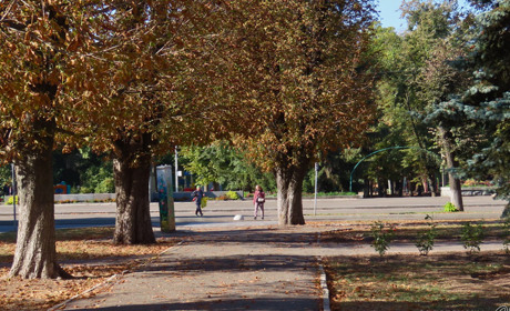 Жовтневий календар свят 2025 року: головні дати та події в Україні