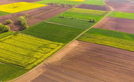 Хто звільняється від сплати земельного податку: роз’яснення для пенсіонерів та пільговиків