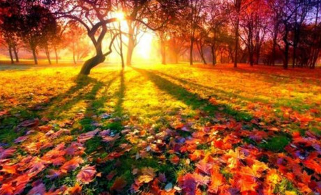 Які зміни чекають на українців з 1 жовтня 2025 року: що потрібно знати