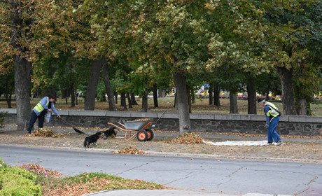 Місячний посівний календар на жовтень 2025: що і коли варто садити
