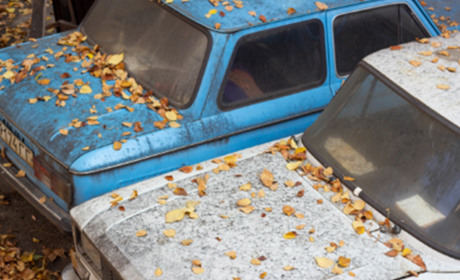 Мешканець Гадяча отримав штраф за автомобільний брухт на комунальній землі