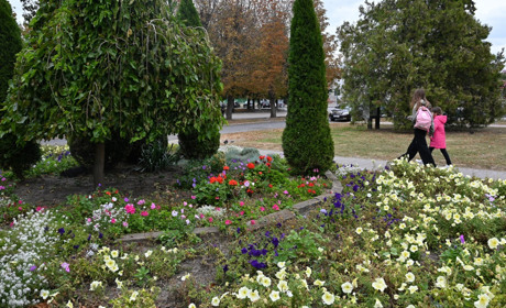 Зміни з 1 жовтня для золотонісців