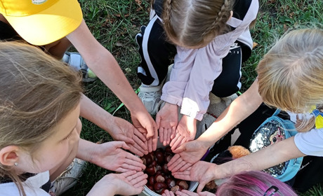 Збираємо каштани - допомагаємо тваринам: у Фастові стартувала акція «Каштанчик»