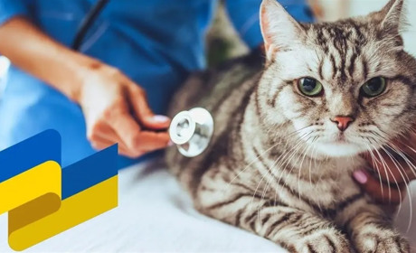 4 жовтня: День ветеринарної служби в системі МВС, Всесвітній день тварин та інші свята, події, дати