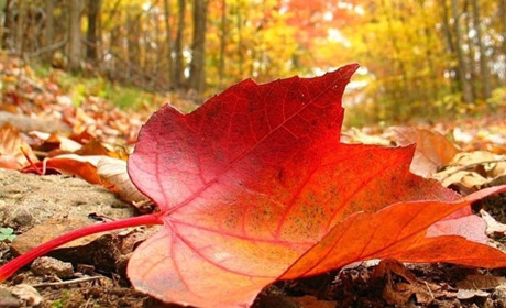 Коротко про погоду у найближчі дні