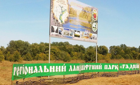 У Гадяцькій громаді створили комісію для обстеження зелених насаджень