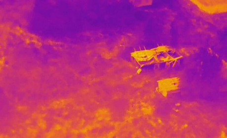 На Звягельщині тривають пошуки зниклої в лісі жінки