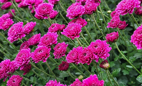 Гадяччину знову накриває похмурий тиждень: прогноз погоди з дощами та осінньою прохолодою