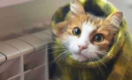 Кабмін переніс дати початку і завершення опалювального сезону: коли дадуть тепло