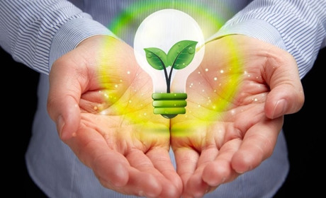 14 жовтня: Всесвітній день екологічної освіти, День народження Вінні-Пуха та інші свята, події, дати