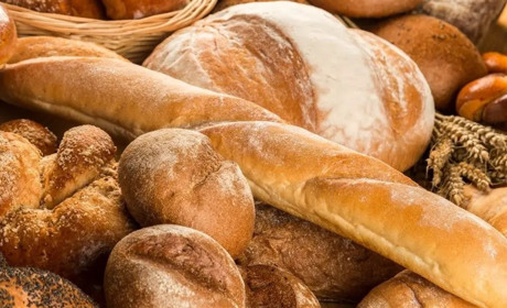 16 жовтня: Всесвітній день хліба і Всесвітній день котів, та інші свята, події, дати