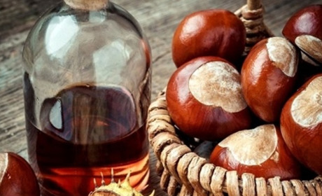 Лікування варикозу каштановою настоянкою: користь, ризики та результати